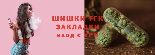 крисы Корсаков