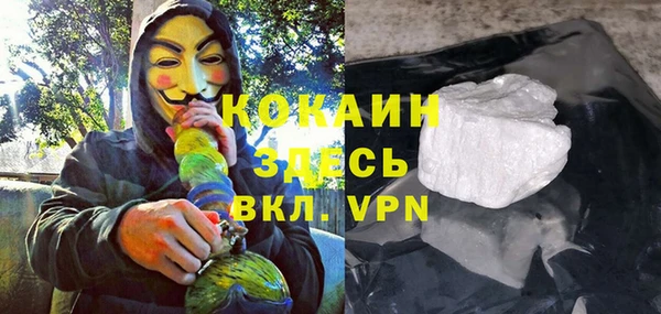 мет Алексин