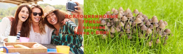 мет Алексеевка