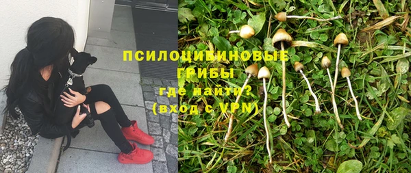 мет Алексеевка