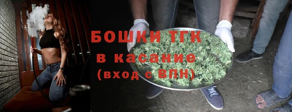 мет Алексин