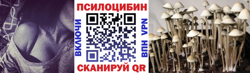 Псилоцибиновые грибы Psilocybine cubensis  Ступино 