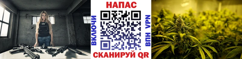 цена   Ступино  Канабис Amnesia 